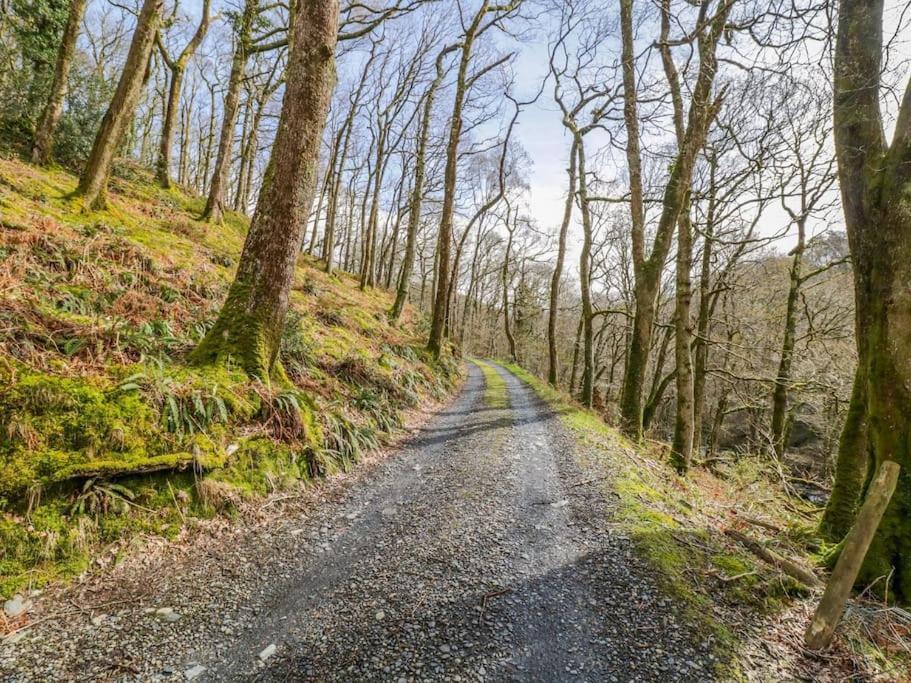 돌겔라우 Y Cwtch - Panoramic Mountain Views Within Snowdonia'S National Park - 4X4 Recommended 빌라 외부 사진