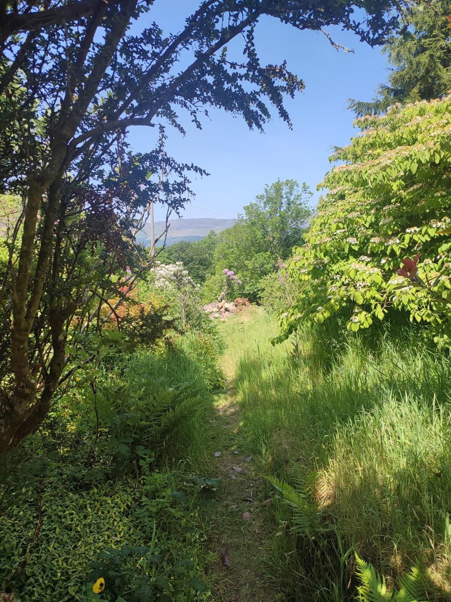 돌겔라우 Y Cwtch - Panoramic Mountain Views Within Snowdonia'S National Park - 4X4 Recommended 빌라 외부 사진